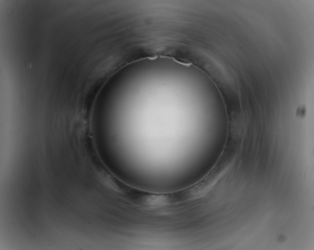 X0000103320085200809051156