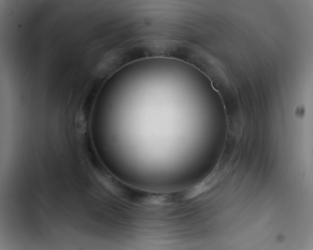 X0000103320086200809051156