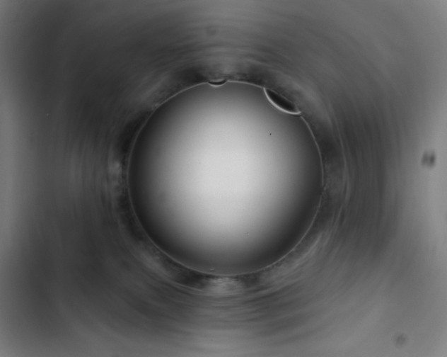 X0000103320087200809051156