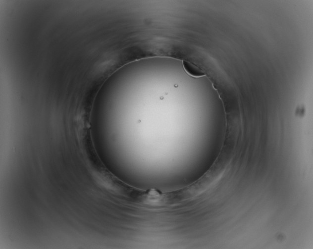 X0000103320088200809051156