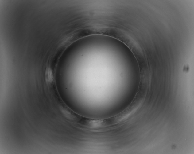 X0000103320089200809051156