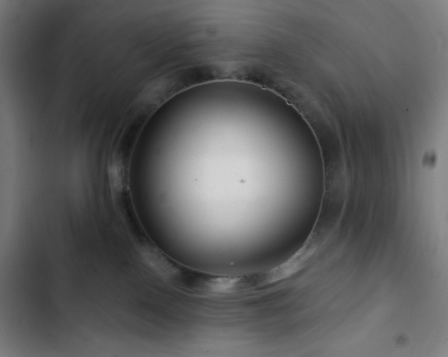 X0000103320090200809051156