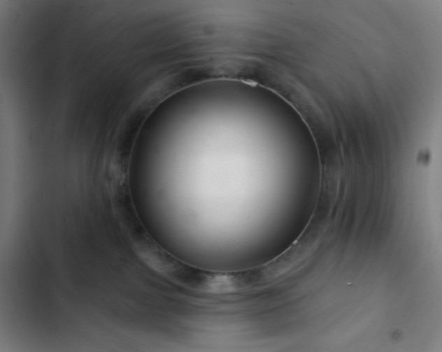 X0000103320091200809051156