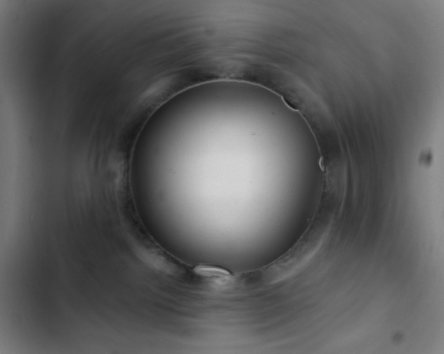 X0000103320092200809051156