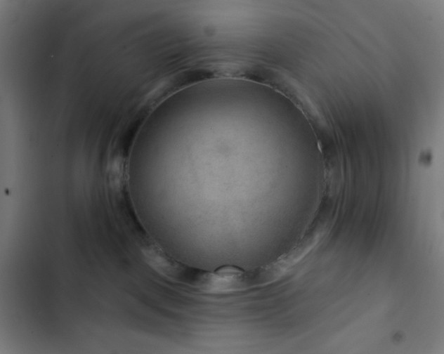 X0000103320093200809051156