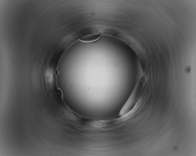 X0000103320094200809051156