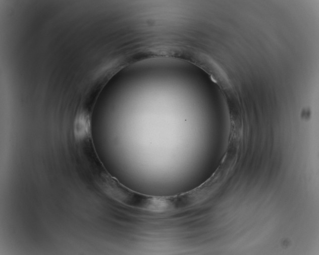 X0000103320095200809051156