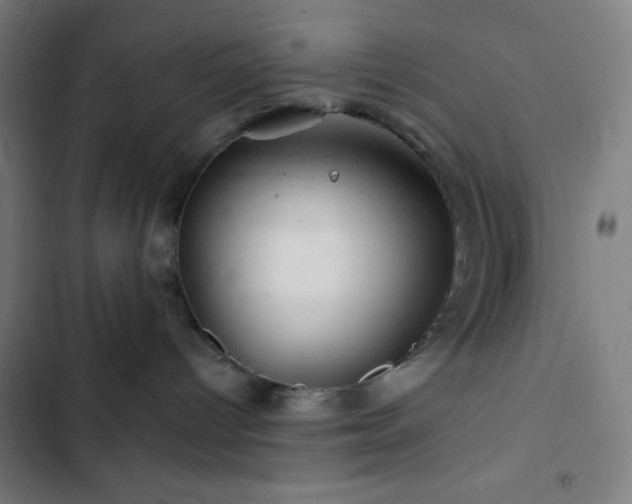 X0000103320096200809051156