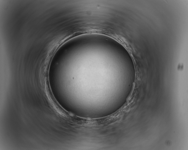 X0000103320097200809051156