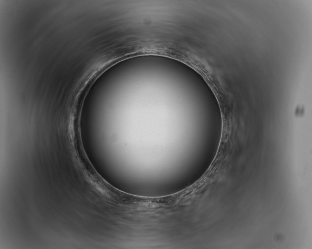 X0000103320098200809051156