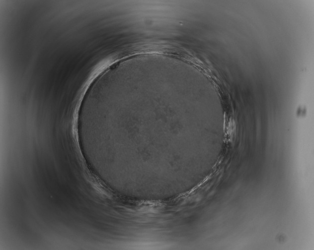 X0000103320099200809051156