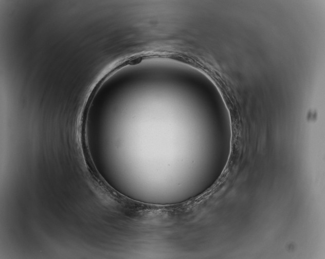 X0000103320100200809051156