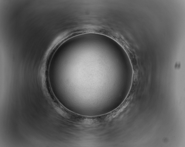 X0000103320101200809051156