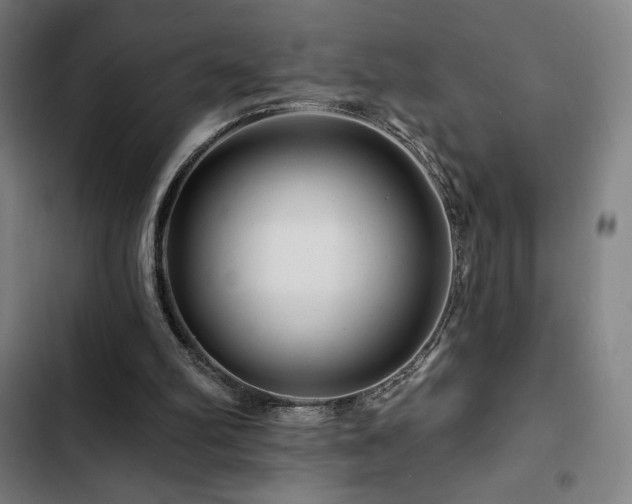 X0000103320102200809051156