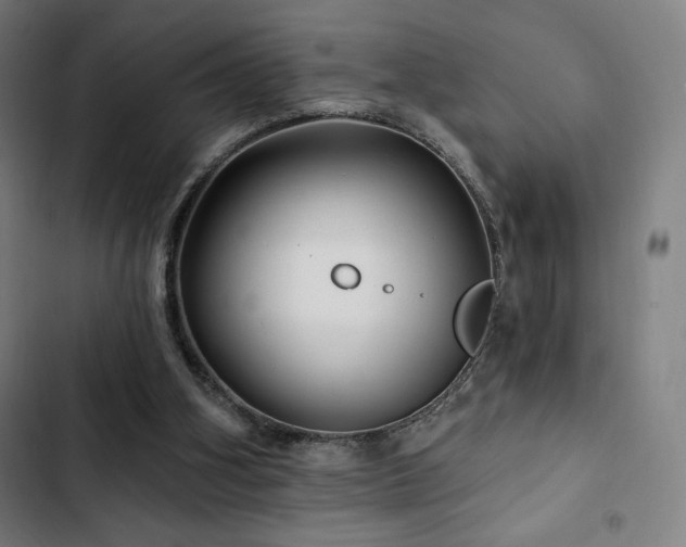 X0000103320106200809051156