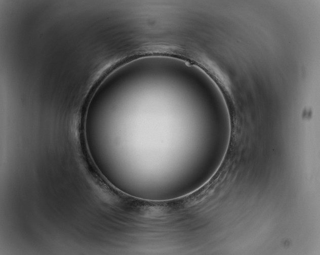 X0000103320107200809051156