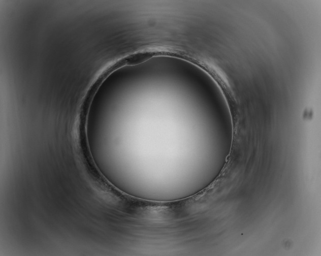 X0000103320108200809051156