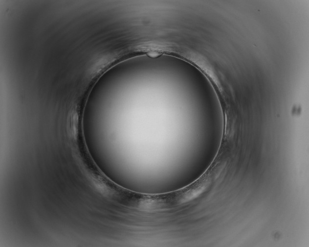 X0000103320109200809051156