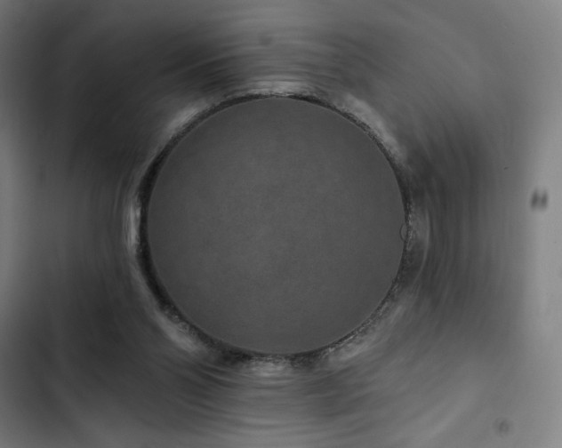 X0000103320110200809051156