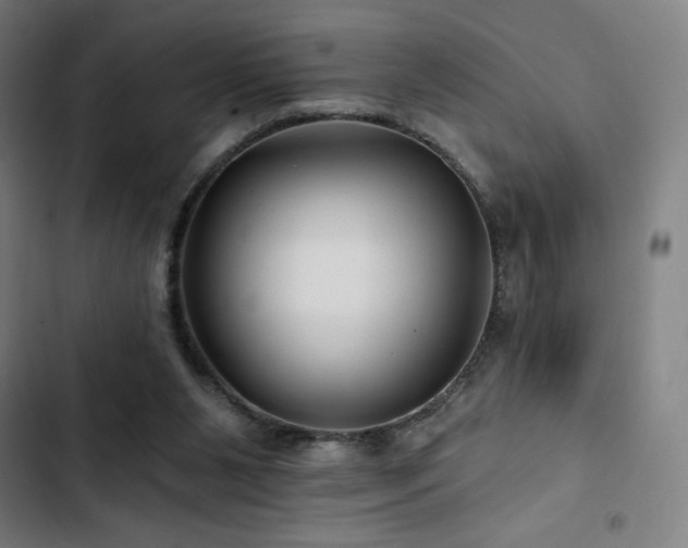 X0000103320111200809051156