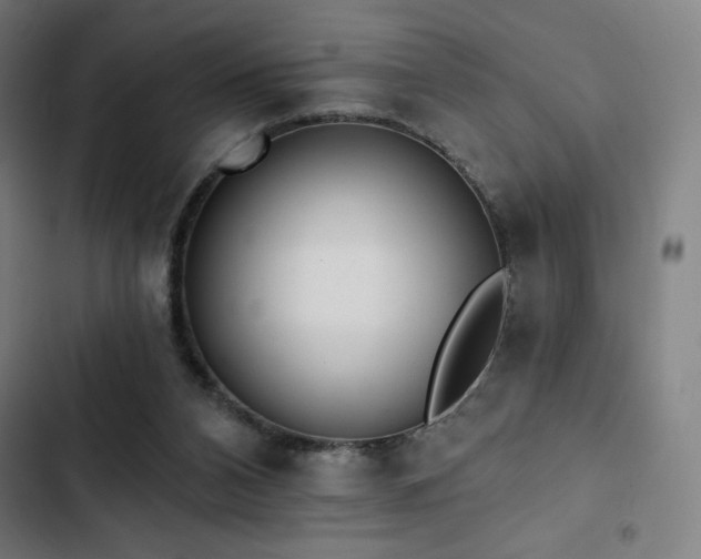 X0000103320112200809051156