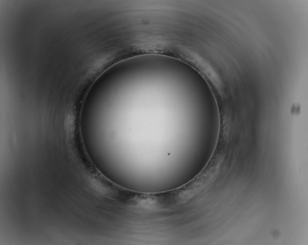 X0000103320113200809051156