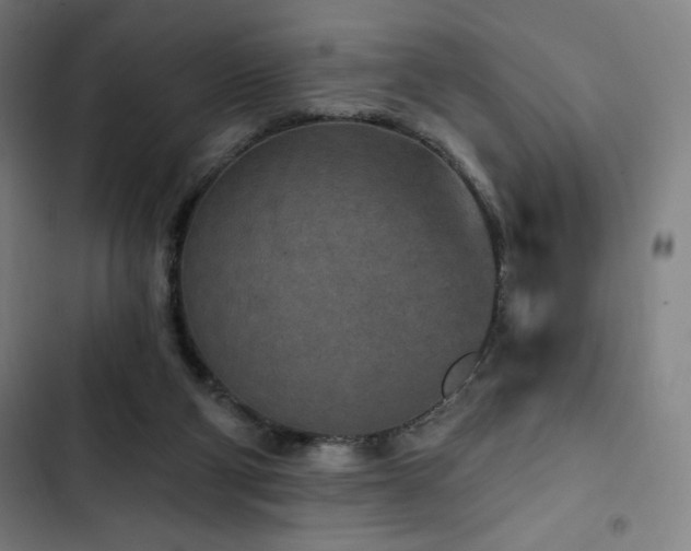 X0000103320114200809051156