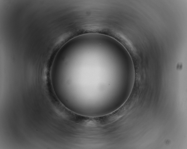 X0000103320115200809051156