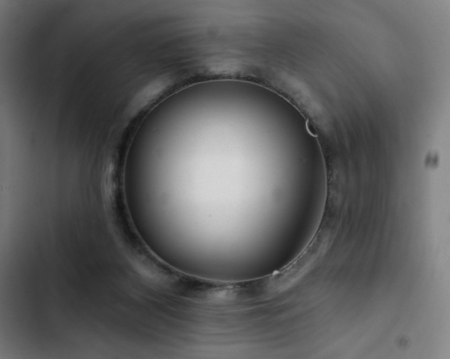 X0000103320116200809051156