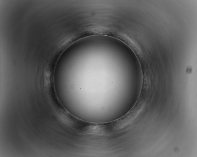 X0000103320117200809051156