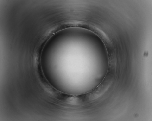 X0000103320119200809051155