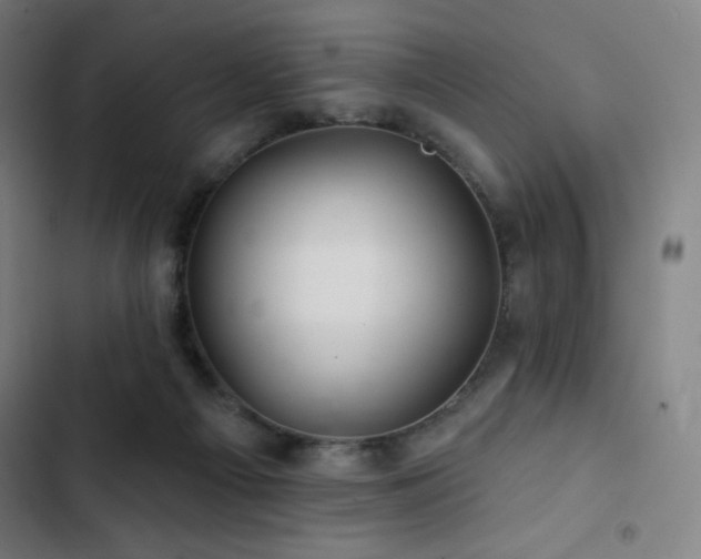 X0000103320121200809051155