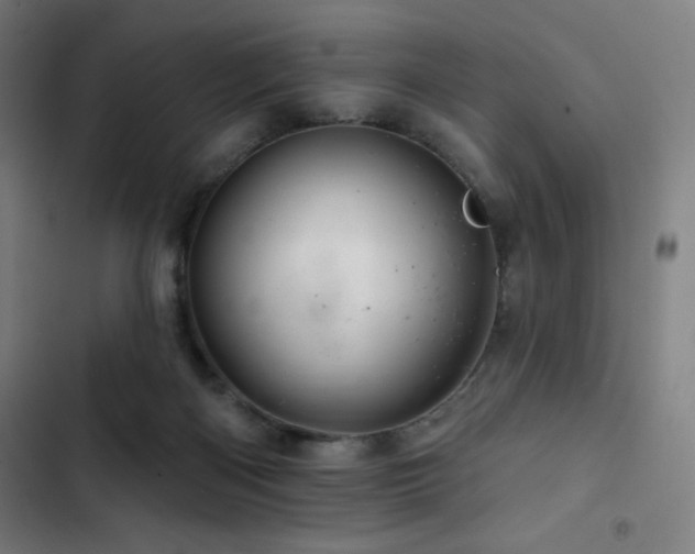 X0000103320122200809051155