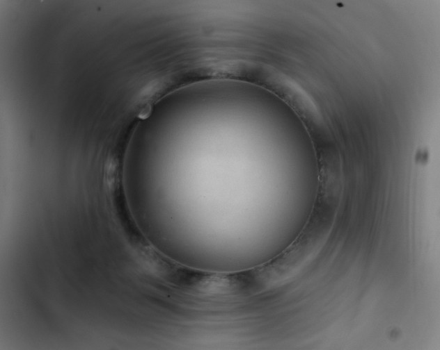 X0000103320123200809051155