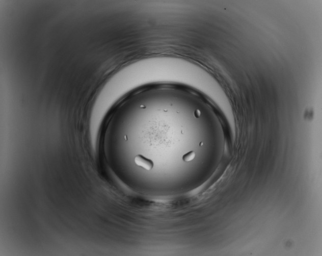 X0000103320124200809051155