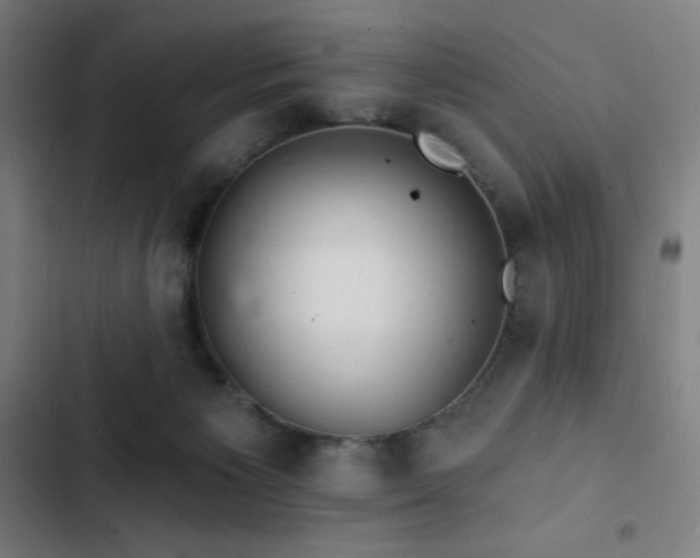 X0000103320125200809051155