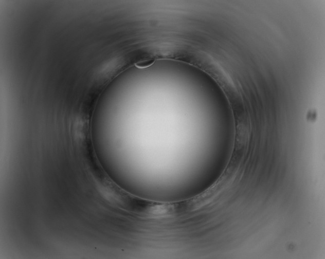 X0000103320126200809051155