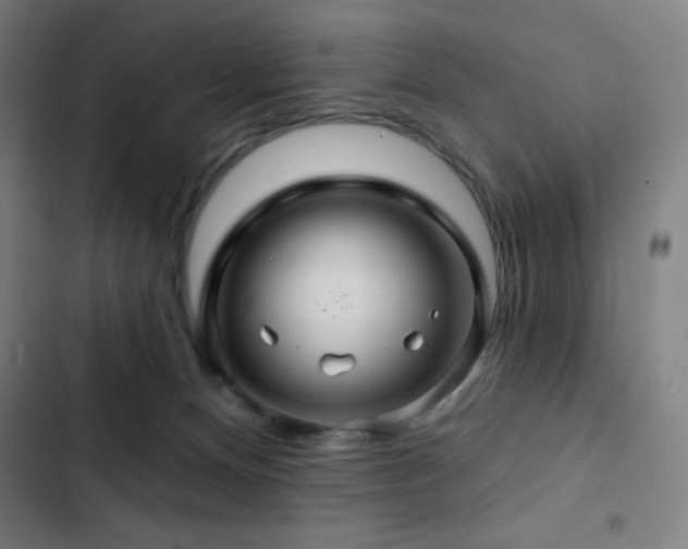 X0000103320128200809051155