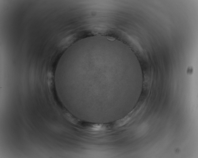 X0000103320130200809051155