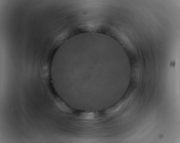 X0000103320131200809051155