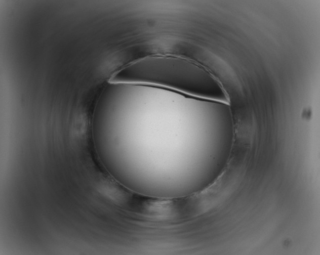 X0000103320132200809051155