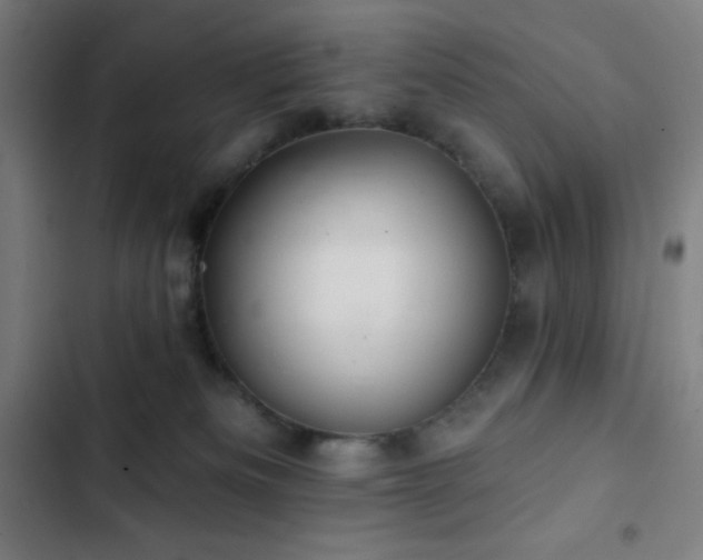 X0000103320133200809051155