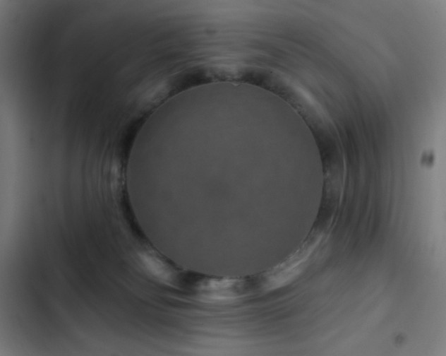 X0000103320134200809051155