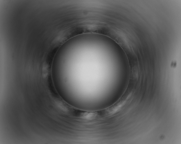 X0000103320135200809051155