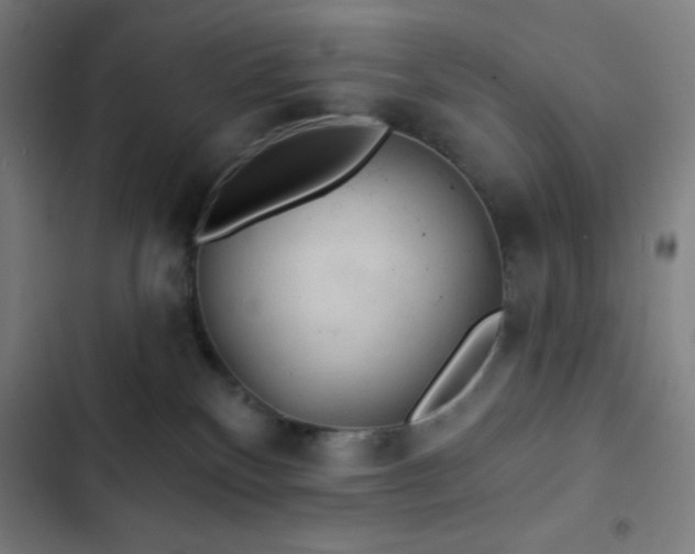 X0000103320136200809051155