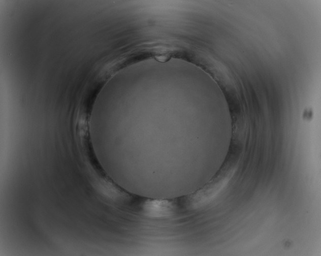 X0000103320137200809051155