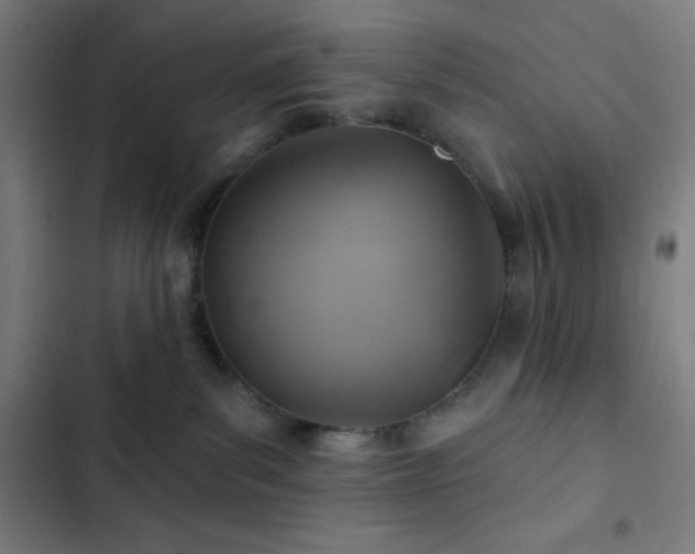 X0000103320139200809051155