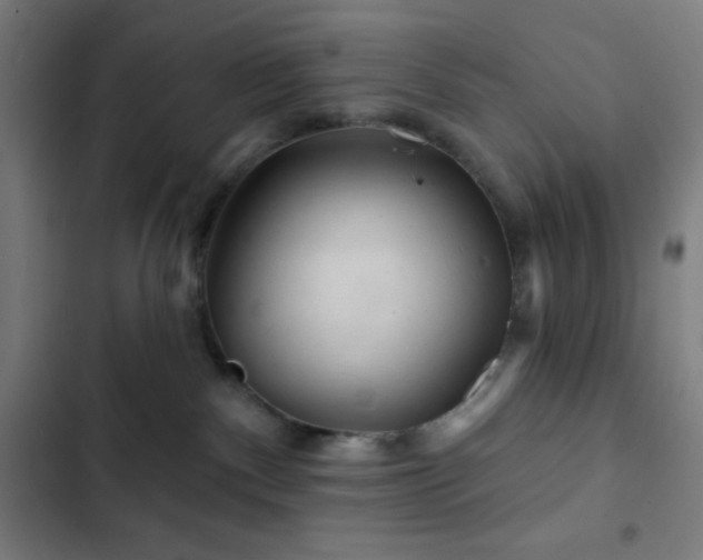 X0000103320140200809051155