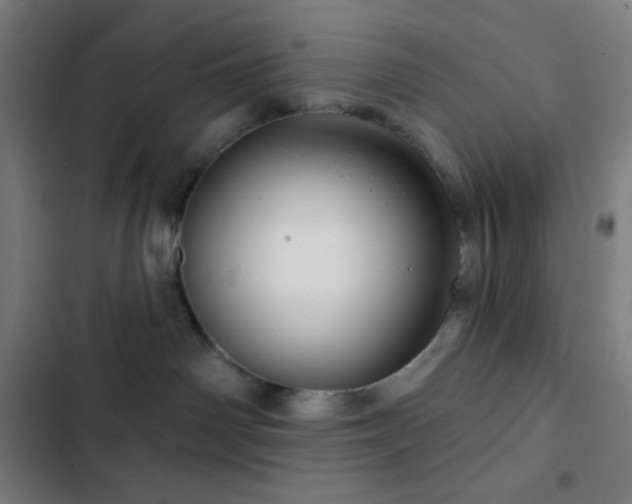 X0000103320142200809051155