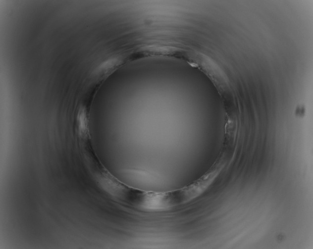 X0000103320143200809051155